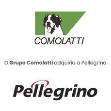 Grupo Comolatti.png